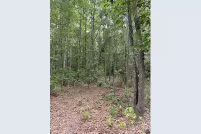 0 Varnadoe Road, Islandton, SC 29929 - Photo 8