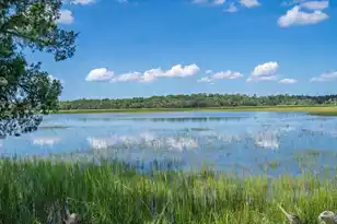 125 Jungle Rd, Edisto Island, SC 29438 - Photo 2