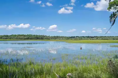 125 Jungle Road, Edisto Island, SC 29438 - Photo 8