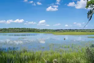 125 Jungle Rd, Edisto Island, SC 29438 - Photo 8