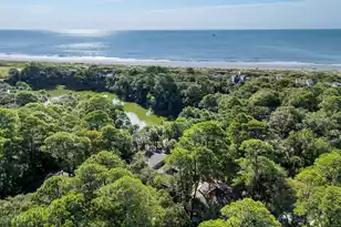 1045 Anhinga Ct, Kiawah Island, SC 29455 - Photo 36