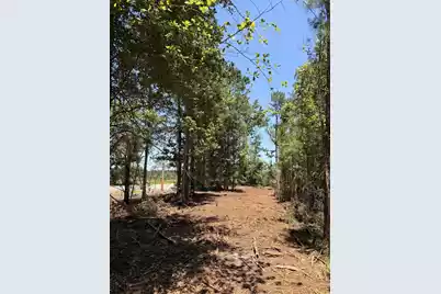 0000 Tumbleweed Road, Smoaks, SC 29481 - Photo 6