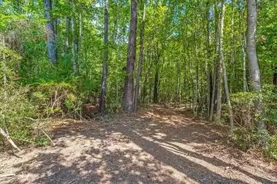 0 Campbell Road, Ridgeville, SC 29472 - Photo 4