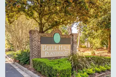451 Piazza Court S, Mount Pleasant, SC 29464 - Photo 66