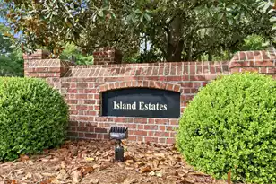 285 Brickwell Ln, Pawleys Island, SC 29585 - Photo 84