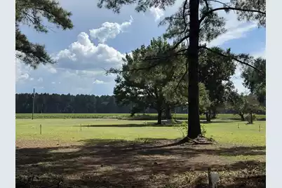 00 Caw Caw Swamp, Brunson, SC 29911 - Photo 1