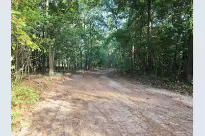 0 Comos Rd Road, Neeses, SC 29107 - Photo 6