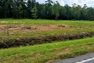4334 Mt Carmel Rd, Walterboro, SC 29488 - Photo 1