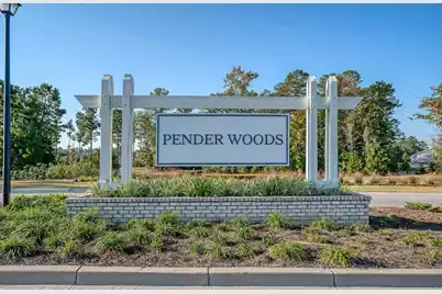 487 Pender Woods Drive, Summerville, SC 29486 - Photo 42