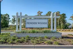 487 Pender Woods Dr, Summerville, SC 29486 - Photo 42