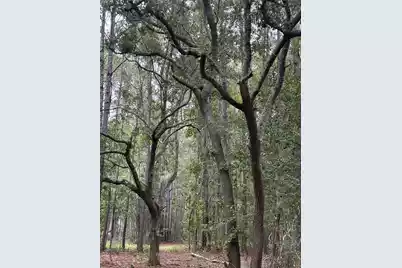 1044 Finnigans Way, Awendaw, SC 29429 - Photo 8
