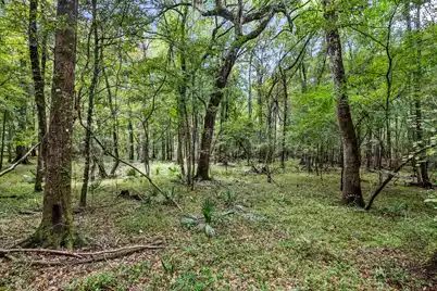 7884 Peirce Road, Ridgeville, SC 29472 - Photo 70