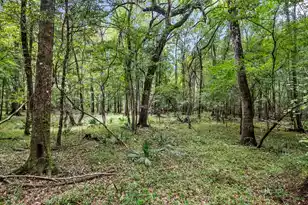 7884 Peirce Rd, Ridgeville, SC 29472 - Photo 70