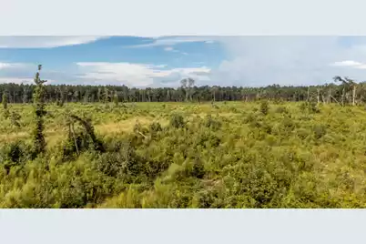 00 Greenwood Road, Adams Run, SC 29426 - Photo 18