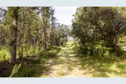 00 Greenwood Road, Adams Run, SC 29426 - Photo 22