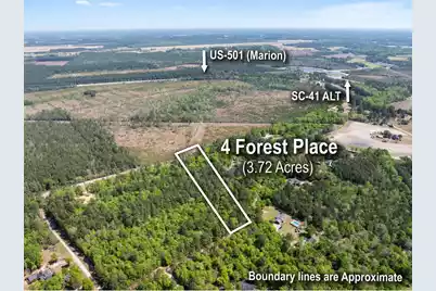 4 Forest Place, Marion, SC 29571 - Photo 2