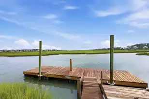75 Marsh Hen Dr, Pawleys Island, SC 29585 - Photo 80