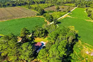 270 Salisberry Rd, Holly Hill, SC 29059 - Photo 56