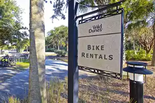 46 Morgan's Cove Dr, Isle Of Palms, SC 29451 - Photo 82