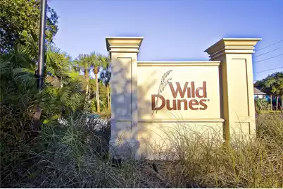 46 Morgan's Cove Drive, Isle Of Palms, SC 29451 - Photo 64