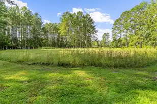 4157 Cottageville Hwy, Round O, SC 29474 - Photo 64