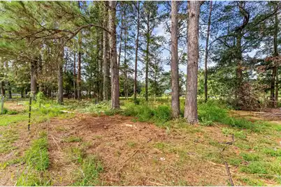 4157 Cottageville Highway, Round O, SC 29474 - Photo 58