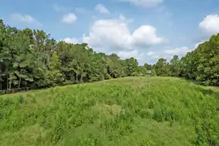 1837 Leadenwah Dr, Wadmalaw Island, SC 29487 - Photo 66
