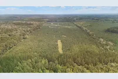 000 Augusta Hwy Highway, Smoaks, SC 29481 - Photo 20