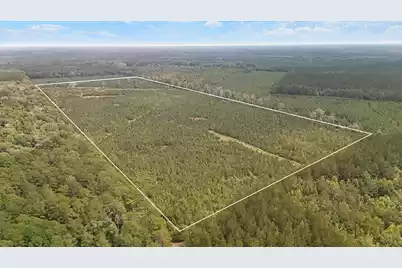000 Augusta Hwy Highway, Smoaks, SC 29481 - Photo 12