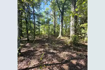 0 Two Church Road, Bowman, SC 29018 - Photo 16