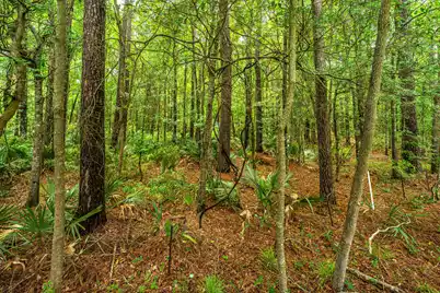 3676 Bagley Drive, Mount Pleasant, SC 29466 - Photo 32