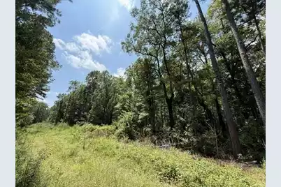 0000 Log Cabin Lane, Smoaks, SC 29481 - Photo 6