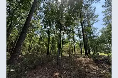 0000 Log Cabin Lane, Smoaks, SC 29481 - Photo 14