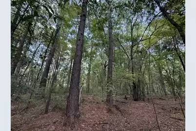 0000 Log Cabin Lane, Smoaks, SC 29481 - Photo 10