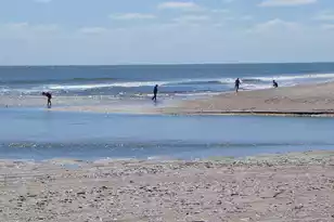 75 Lost Village Trail, Edisto Island, SC 29438 - Photo 64