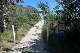 75 Lost Village Trail, Edisto Island, SC 29438 - Photo 58