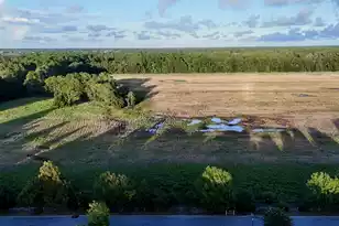 2108 Promenade Ct, Mount Pleasant, SC 29466 - Photo 6