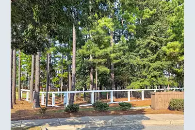103 Fig Ivy Lane, Summerville, SC 29486 - Photo 108