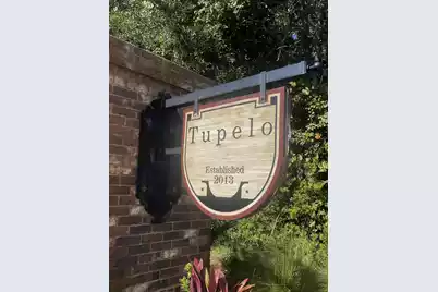 3834 Tupelo Church Lane, Mount Pleasant, SC 29429 - Photo 46