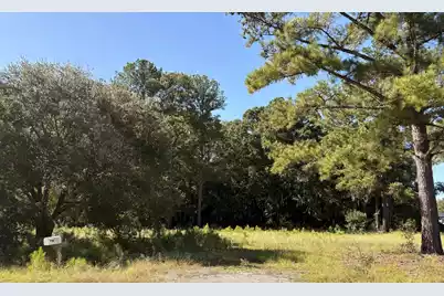 308 Piney Grove Road, Cross, SC 29436 - Photo 6