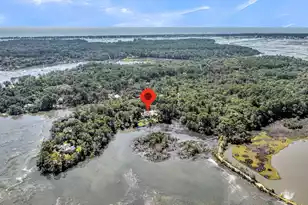 167 Cape Palmetto Point Trail, Edisto Island, SC 29438 - Photo 94