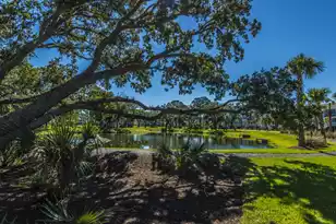2226 Mother Of Pearl Dr, Mount Pleasant, SC 29466 - Photo 60