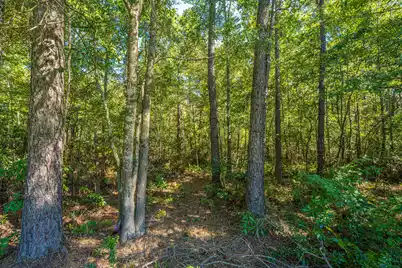 404 Tree Branch Circle, Summerville, SC 29483 - Photo 34