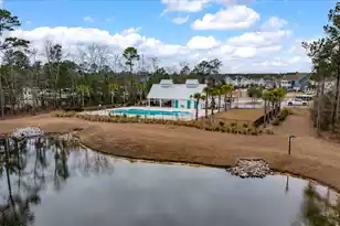 218 Red Blf St, Summerville, SC 29483 - Photo 44