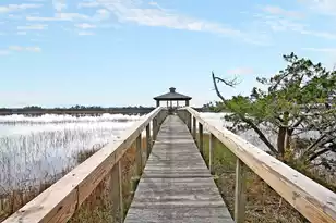 2020 Egret Ln, Charleston, SC 29414 - Photo 78