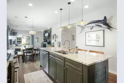 3789 Tupelo Branch Row, Mount Pleasant, SC 29429 - Photo 10