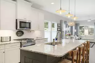 3789 Tupelo Branch Row, Mount Pleasant, SC 29429 - Photo 8