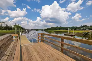 1044 Black Rush Cir, Mount Pleasant, SC 29466 - Photo 66