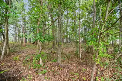 905 Burnley Road #Unit D, Charleston, SC 29414 - Photo 44