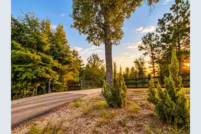 7068 Cameron Road, Cameron, SC 29030 - Photo 4